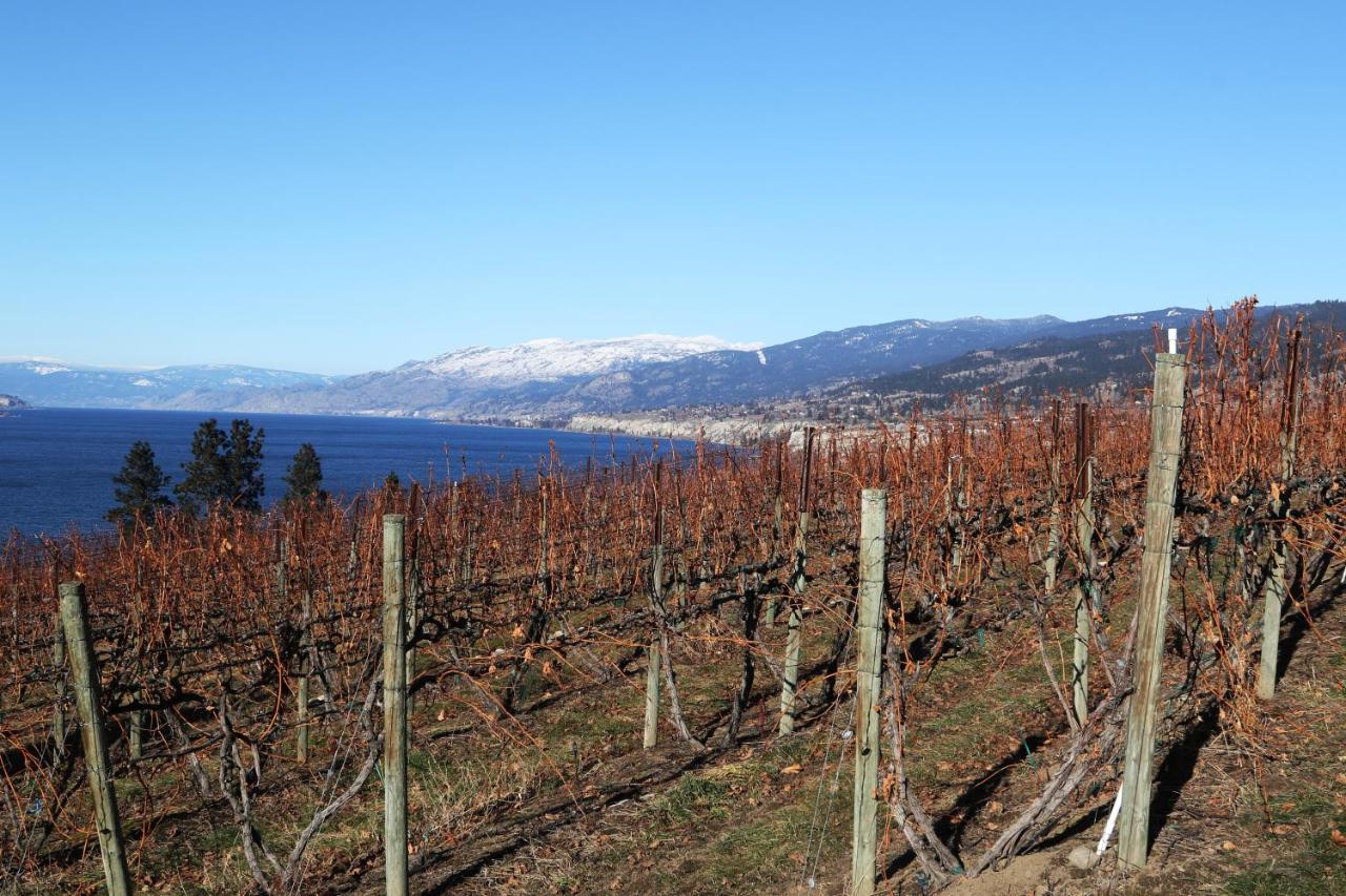 Hotel Sunshine And Wine Loft Penticton Exteriér fotografie